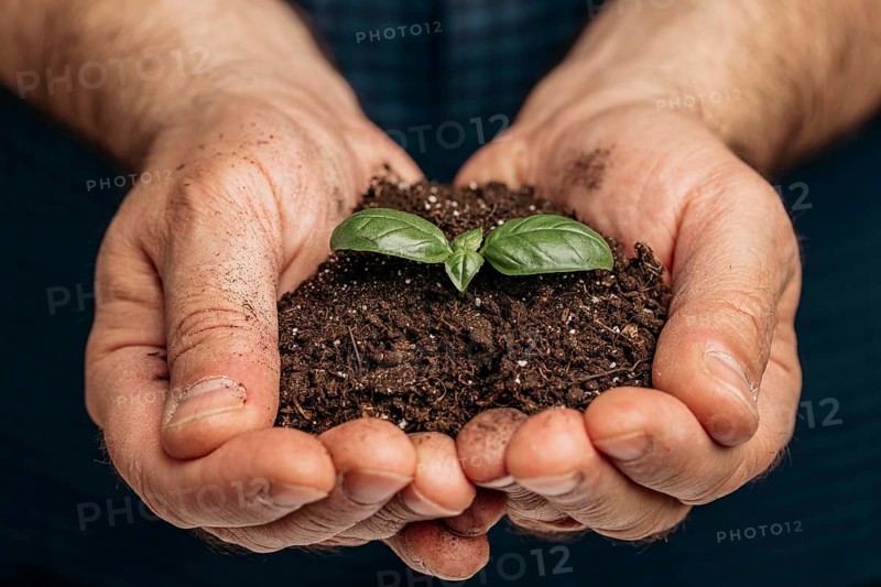 Front view male hands holding soil growing plant