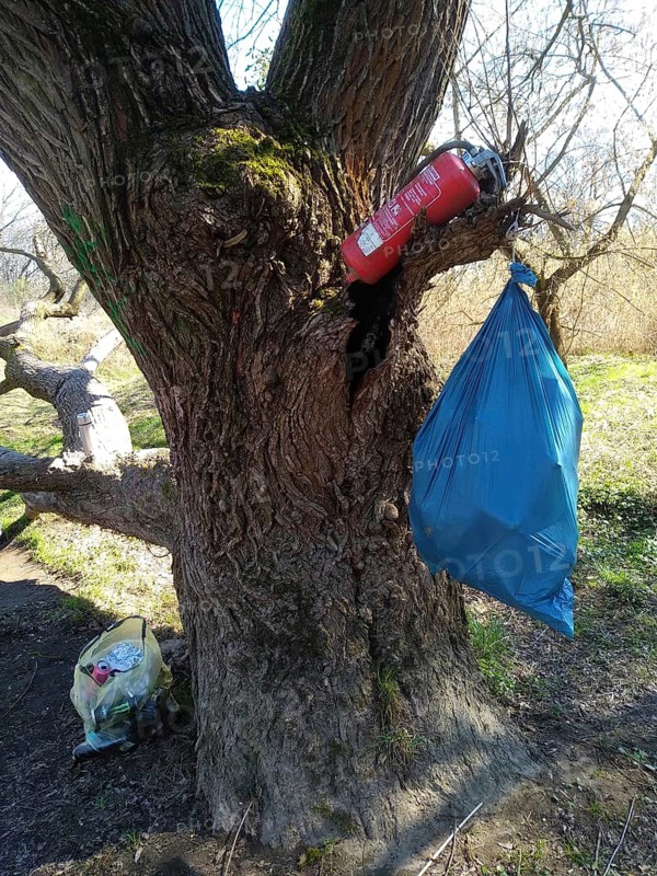 Illegally dumped rubbish in a nature reserve