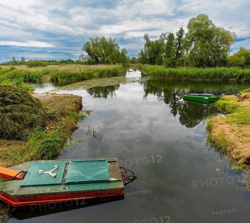 Spree near Luebbenau