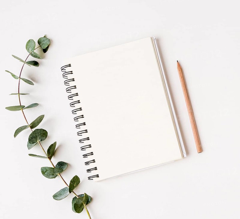 Top view notepad with green leafs concept
