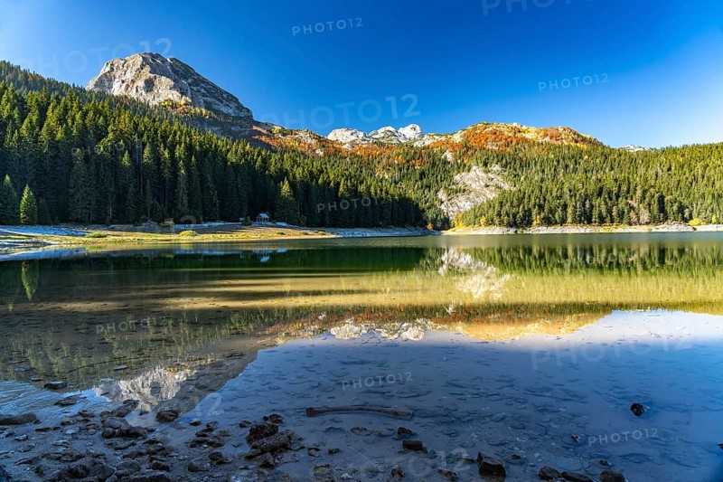 The Black Lake or Crno jezero