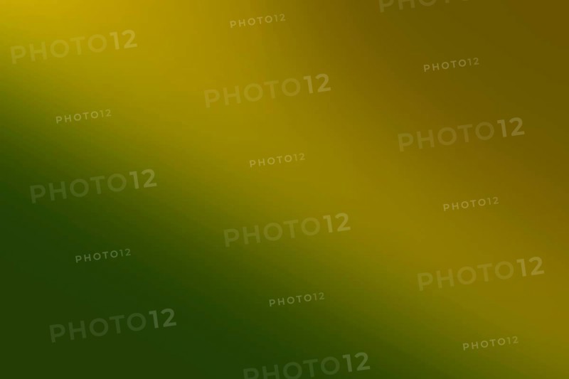 Green shades gradation