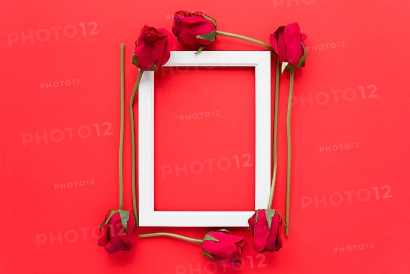 Frame fresh flowers