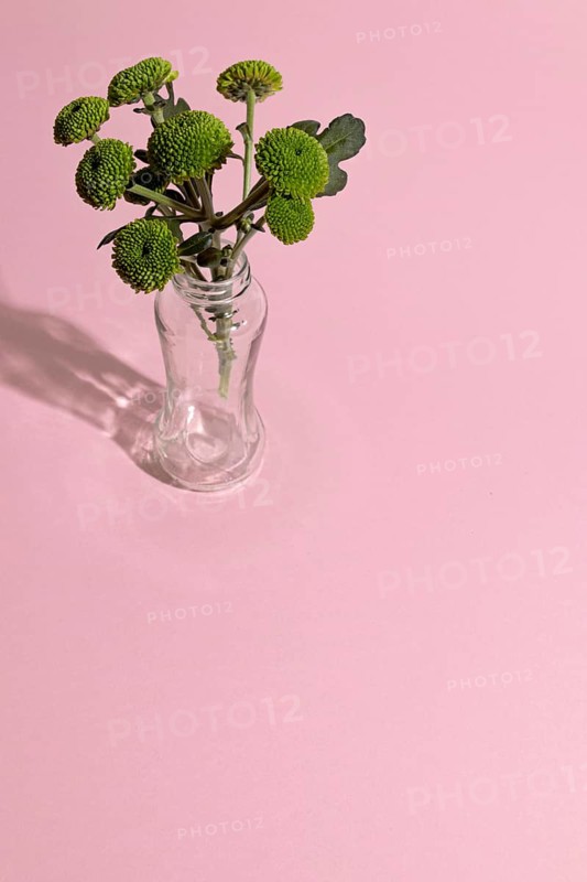 Blossom flowers vase table 3