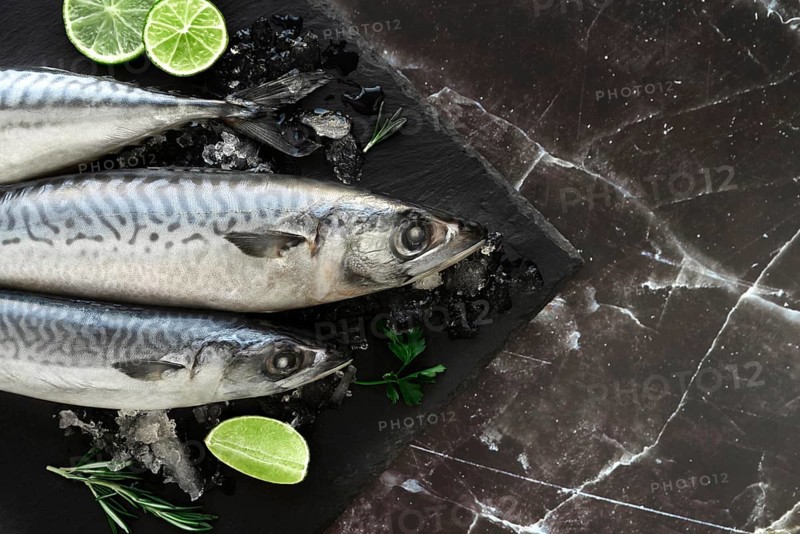 Arrangement healthy sea food