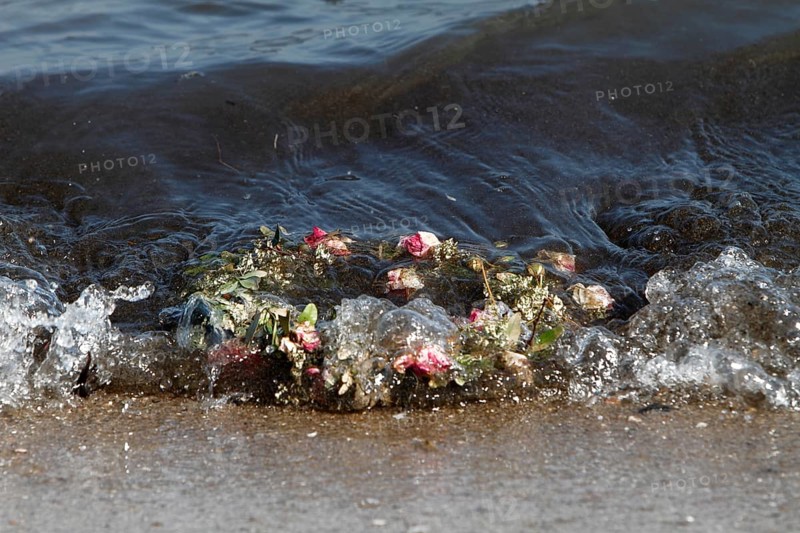 Marine litter washed up on the beach