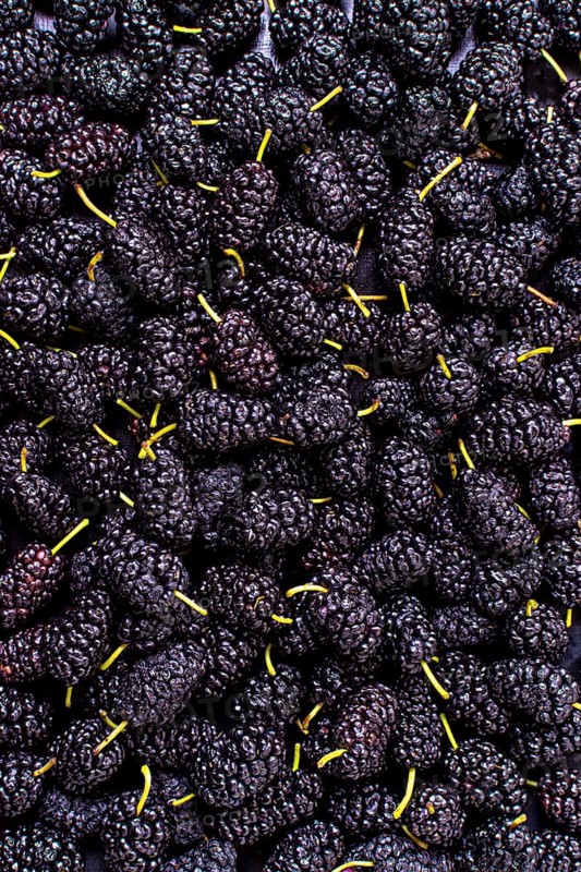Top view assortment mulberries