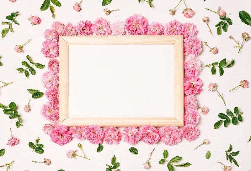 Frame set pink flowers green leaves
