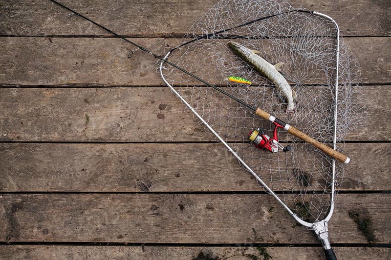 Freshly caught fish inside fishing net with fishing rod wooden pier