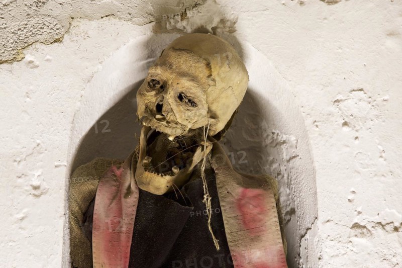 Skull