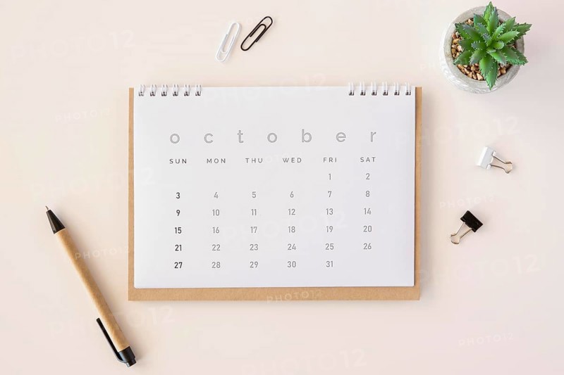 Top view planner calendar succulent plant