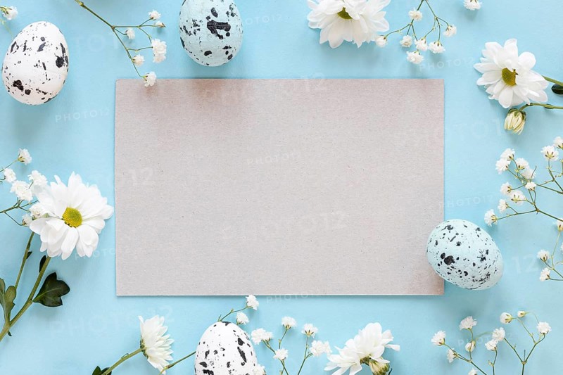 Frame flowers with paper sheet eggs