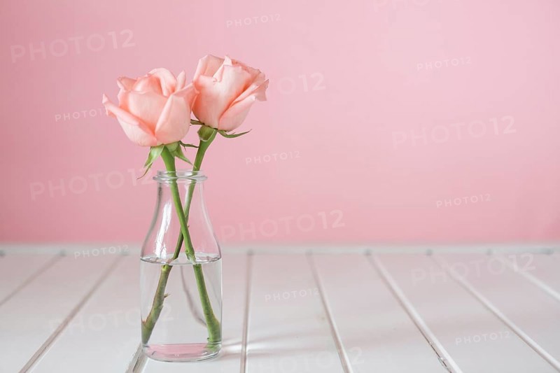 Pretty glass vase with two flowers