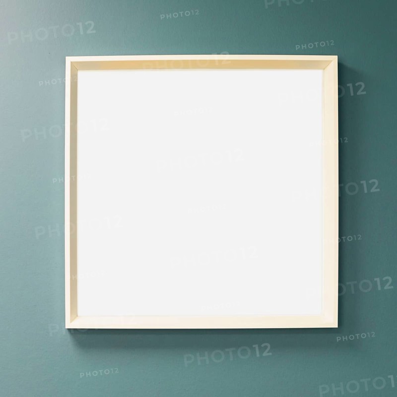 Blank canvas