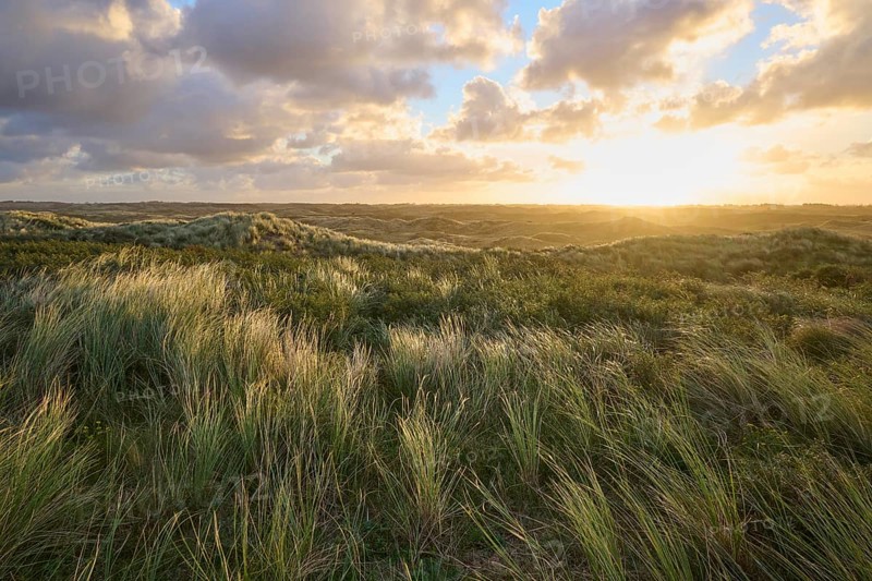 Sand dune