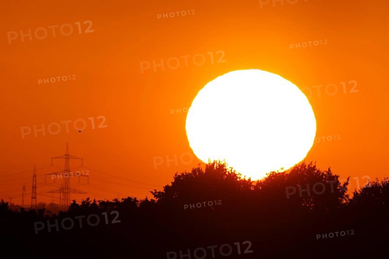 The sun rises next to some electricity pylons while a bird flies by