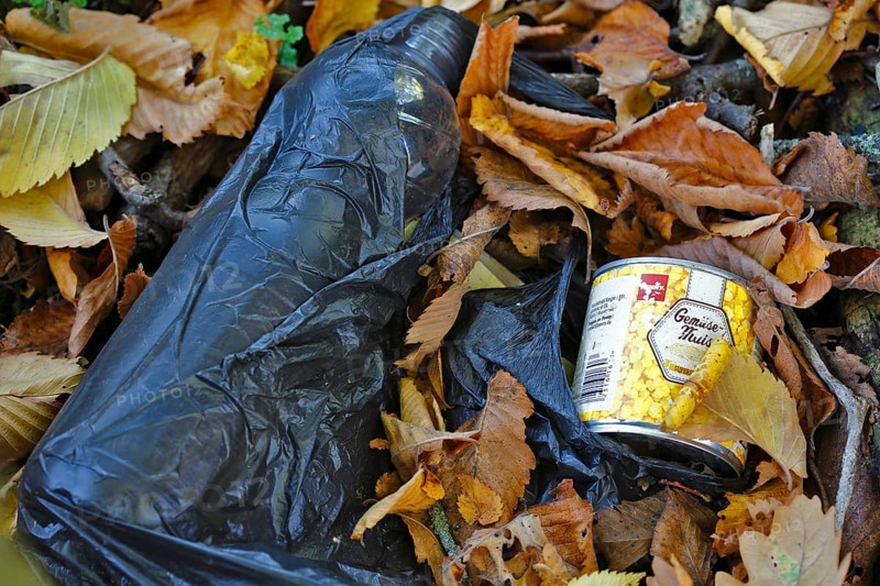 Illegally dumped rubbish in a nature reserve