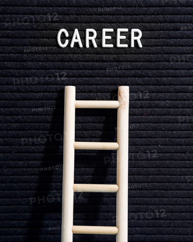 Front view wooden ladder carrer