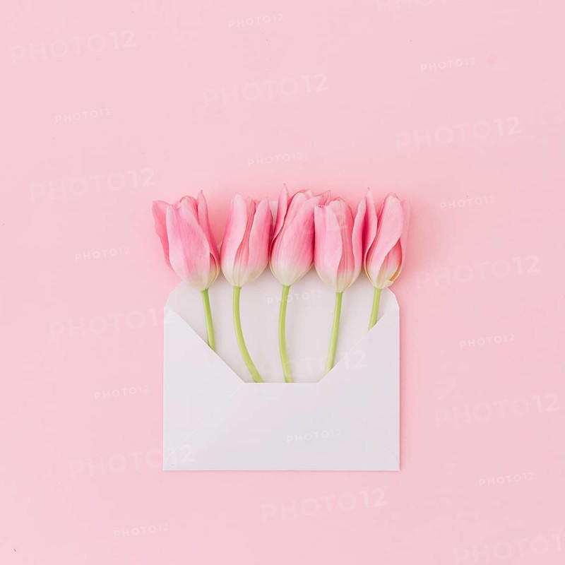 Tulip flowers envelope table