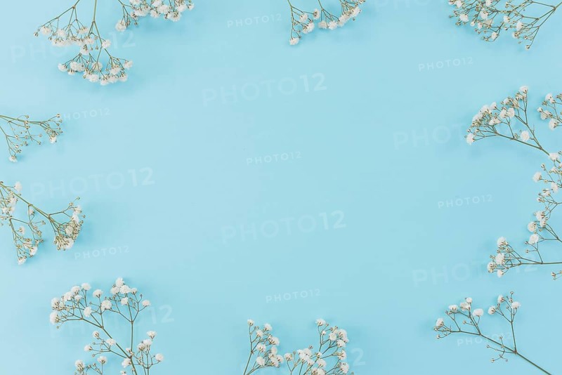 Frame made gypsophila