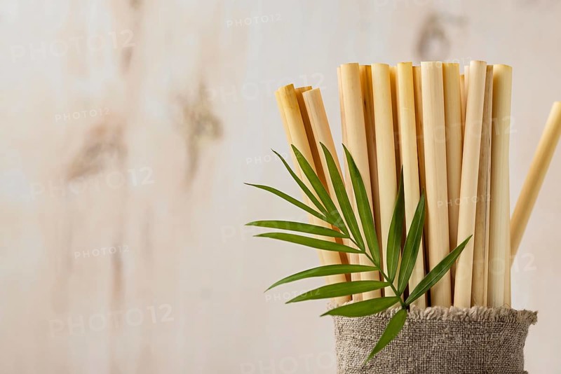 Leaves eco friendly environment bamboo tube straws