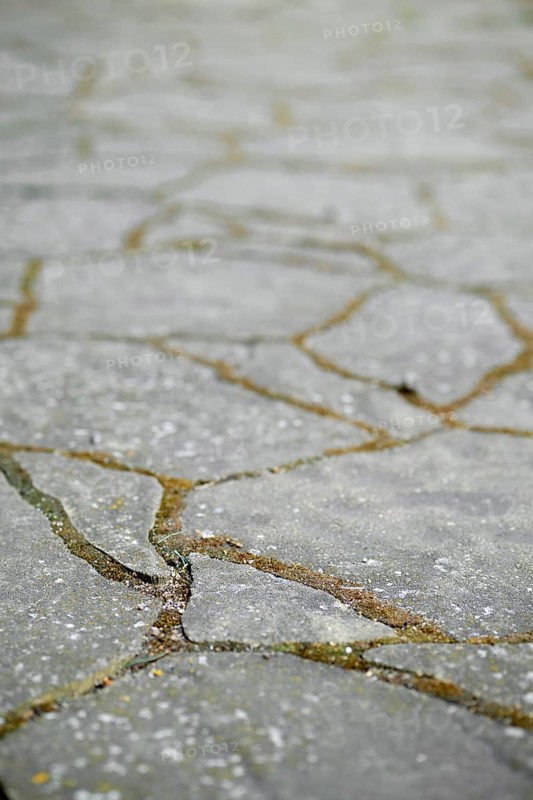 Closeup view of garden tiles for path or paving stones