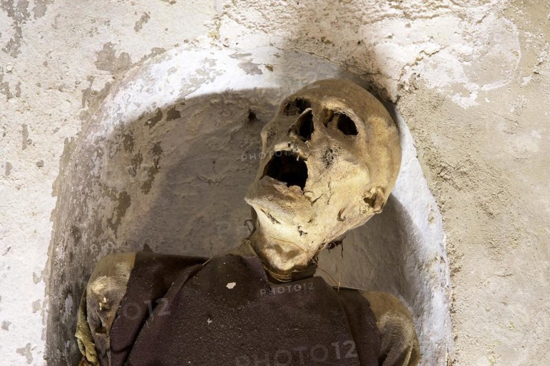 Skull