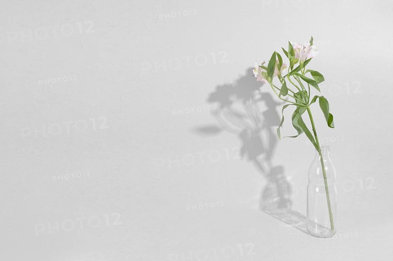 Blossom flowers vase table 5