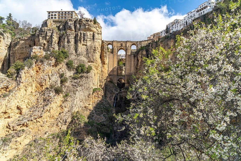 Cherry Blossom and the Puente Nuevo New Bridge over the Tajo de Ronda Gorge