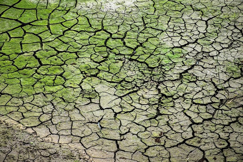 Dry soil with cracks due to prolonged drought