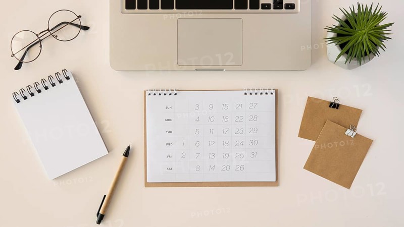 Flat lay desk calendar with succulent plant