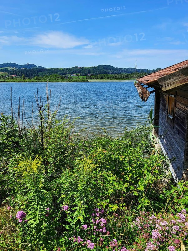 Boat hut on the lake with a gutter overgrown with moss