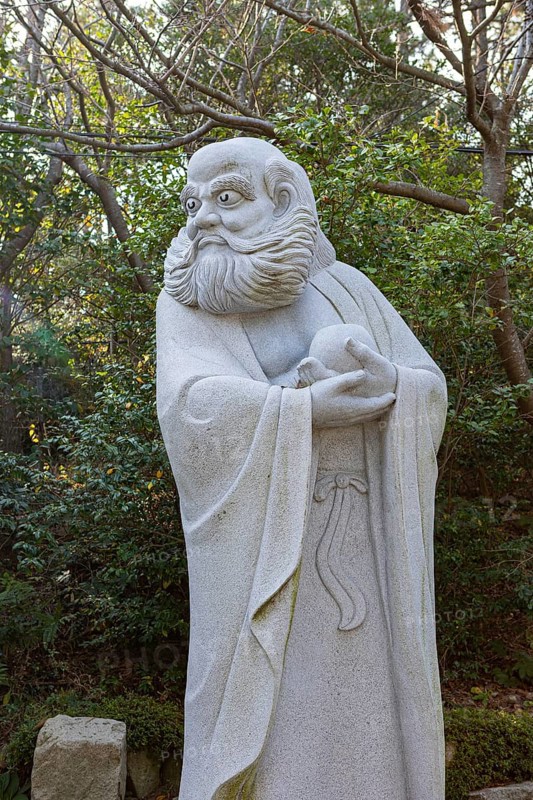 Bodhidharma Monk
