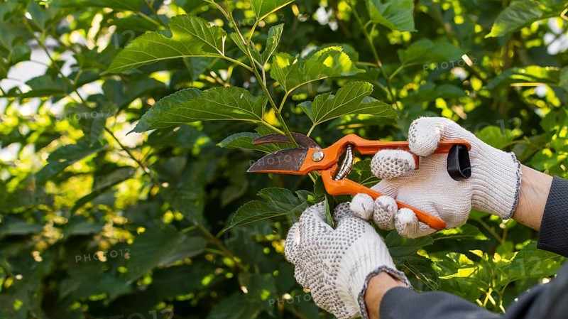Close up gardener taking care plants