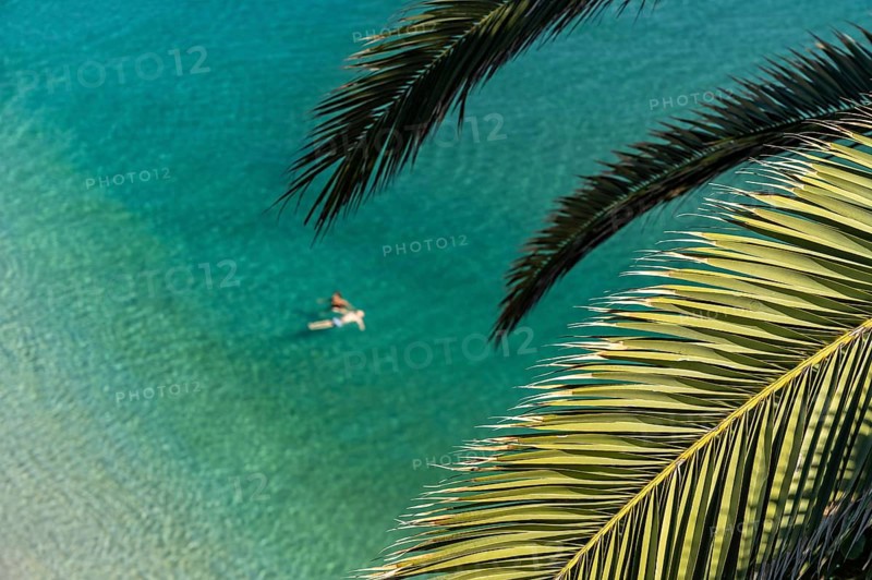 Palm tree and swimmer in the sea at the beach Playa de la Calahonda in Nerja
