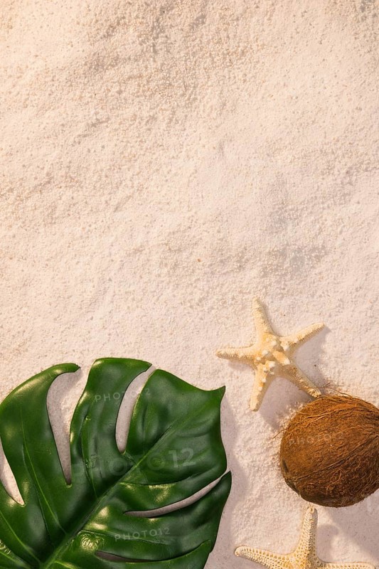 Green leaf with starfish beach