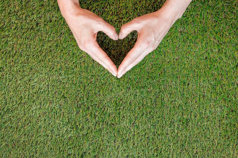 Person making heart his hands grass