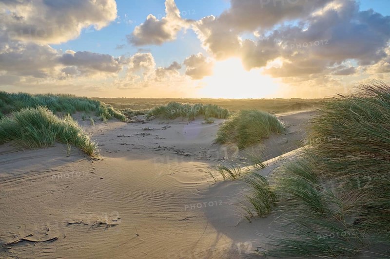 Sand dune