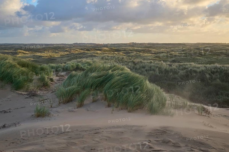 Sand dune