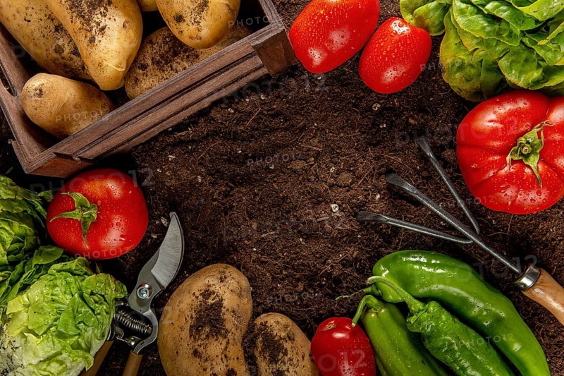 Top view tomatoes with potatoes veggies