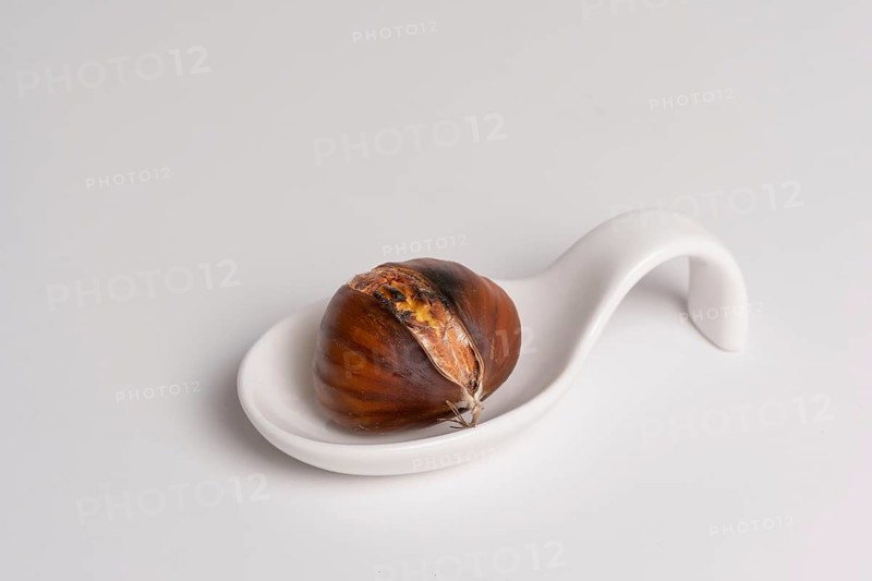 Seasonal chestnuts harvested from the field on a white background
