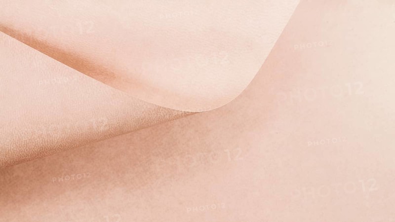 Paper curled pink page texture