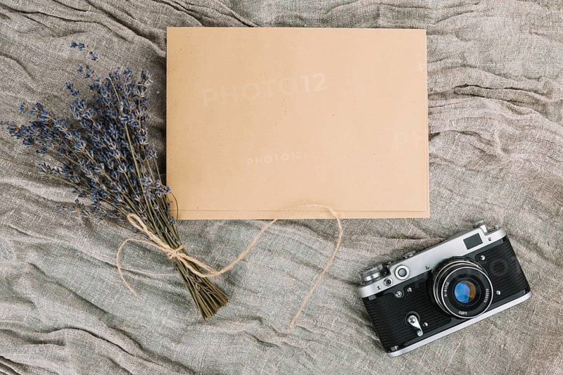 Camera with blank paper violet bouquet