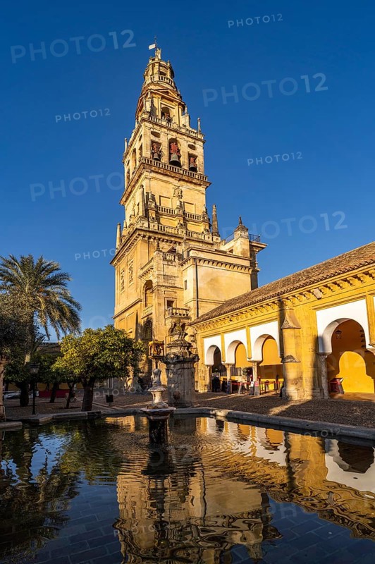 Orange Courtyard and Bell Tower of the Mezquita