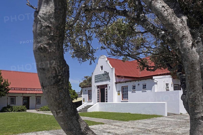 Whale House