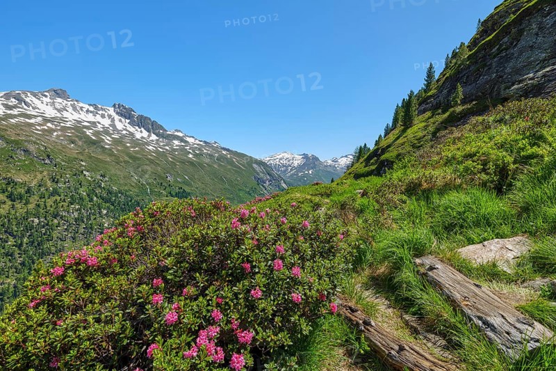 Hiking along the glacier trail in Innergschloess