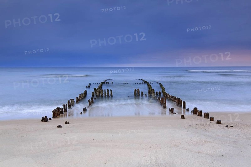Remnant of old weathered wooden groyne