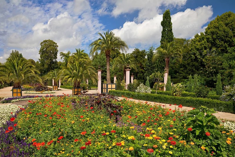 Palm Garden