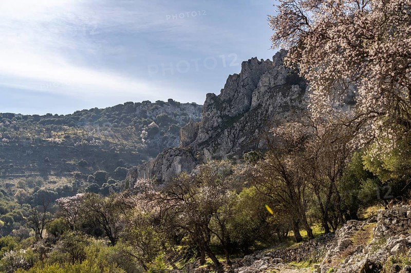 Landscape along the hiking trail of the Rio Bailon near Zuheros