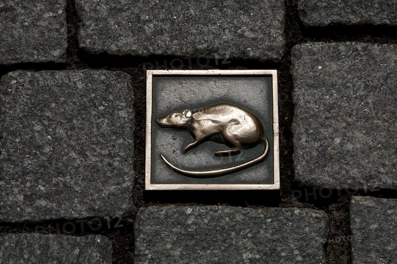 Rat Stone